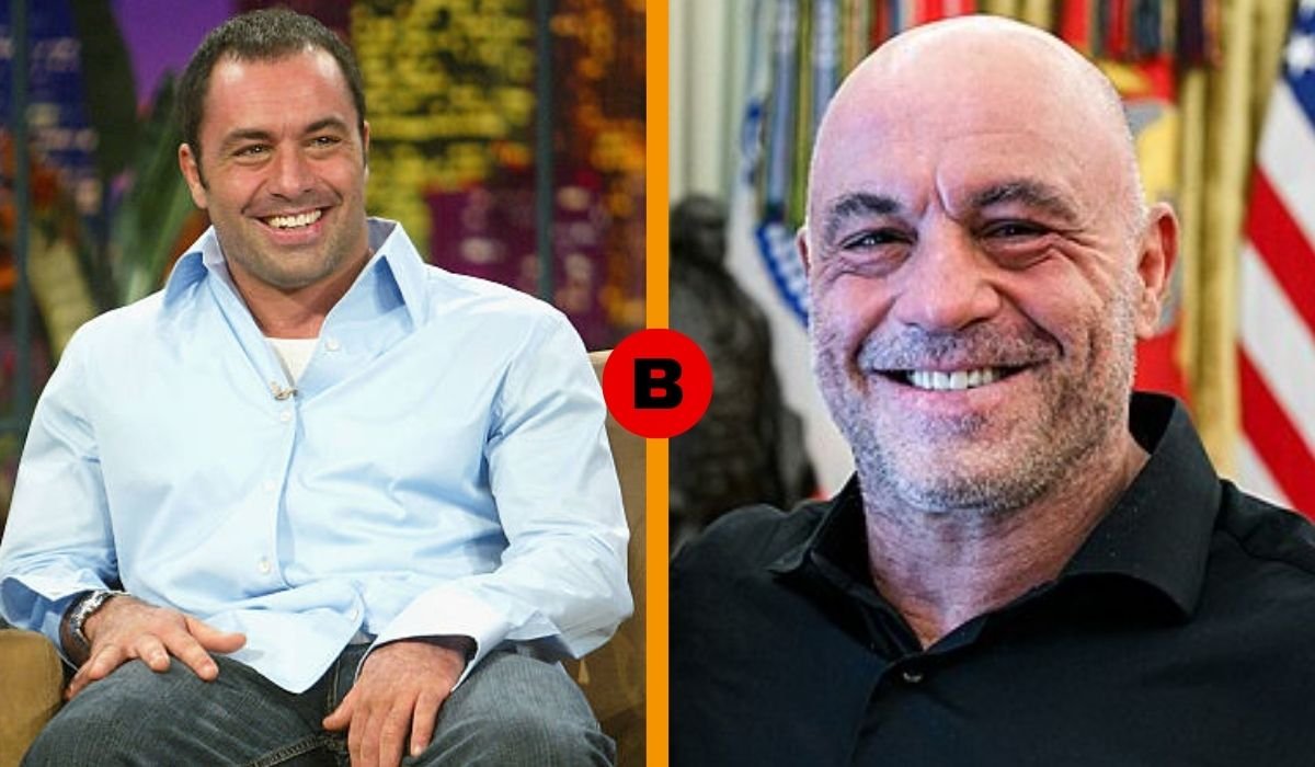 joe rogan net worth