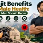 shilajit benefits for male