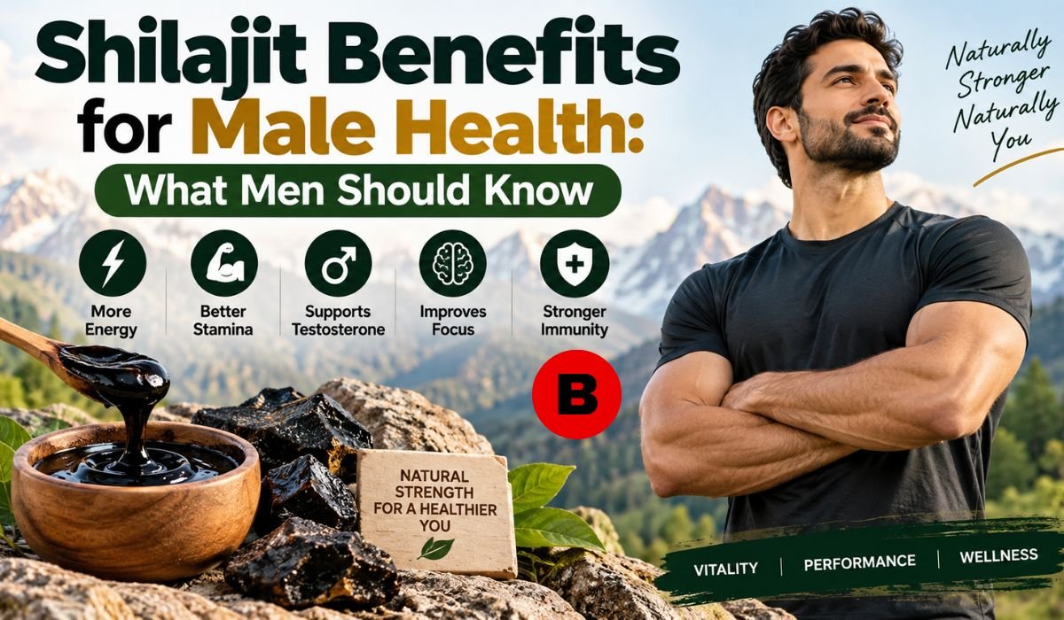 shilajit benefits for male